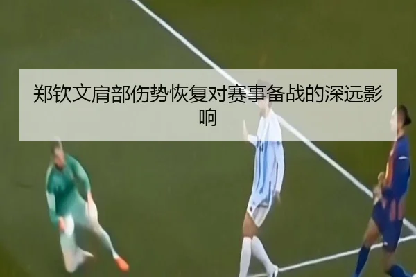 郑钦文肩部伤势恢复对赛事备战的深远影响
